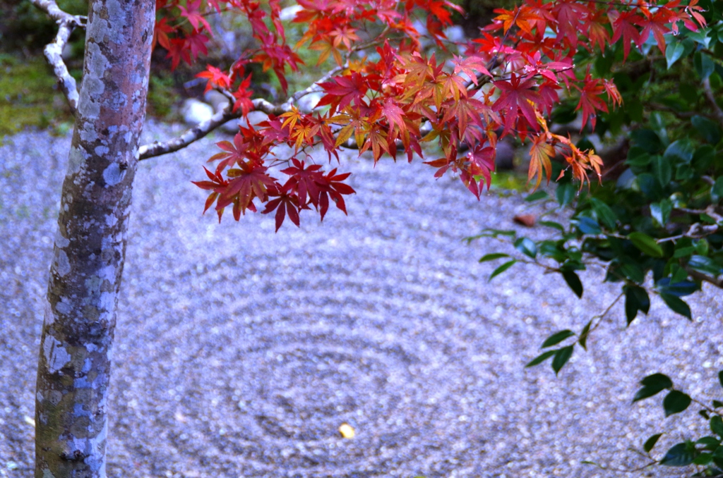 紅葉3