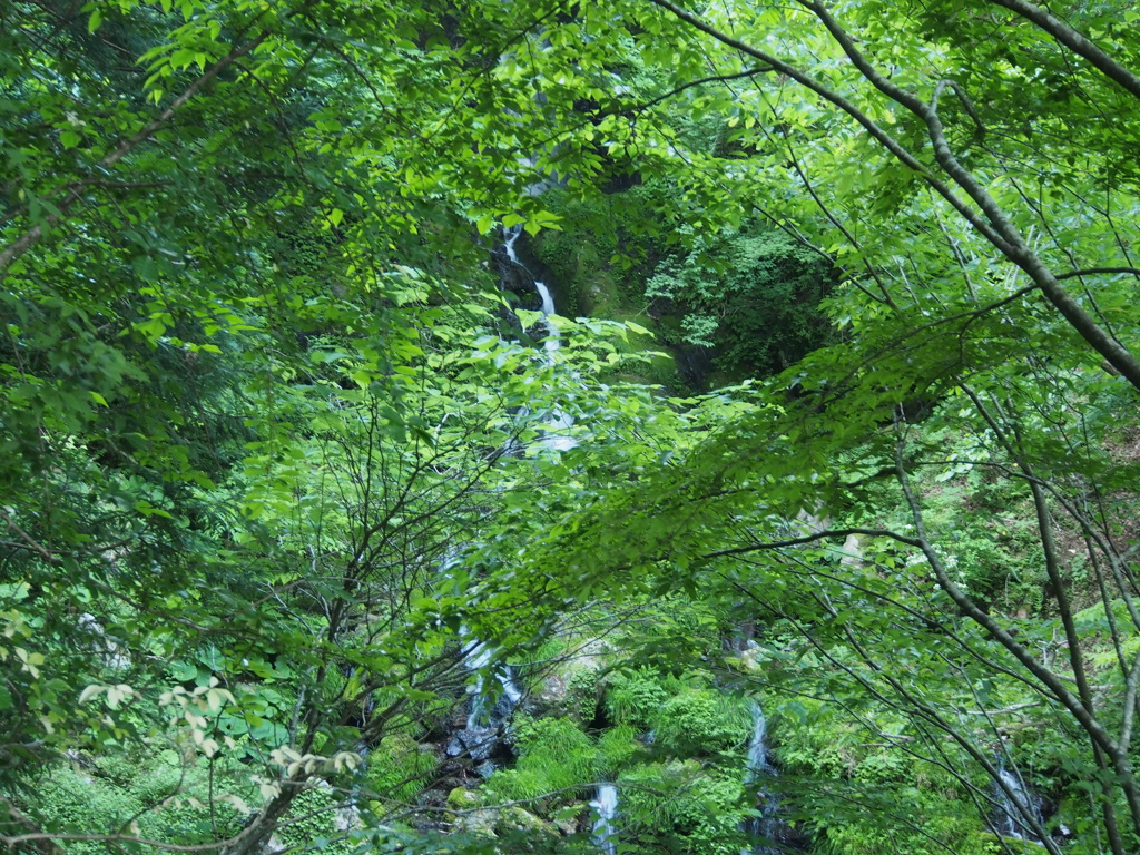 深山の瀧