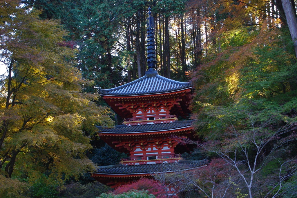 当尾の里・三重塔～岩船寺