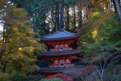 当尾の里・三重塔～岩船寺