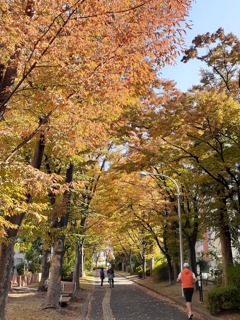 街中も秋の彩り