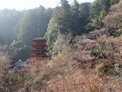 長谷寺五重塔