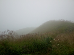 岩湧山 岩湧山