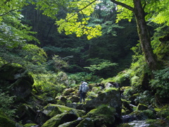 谷を行く登山者