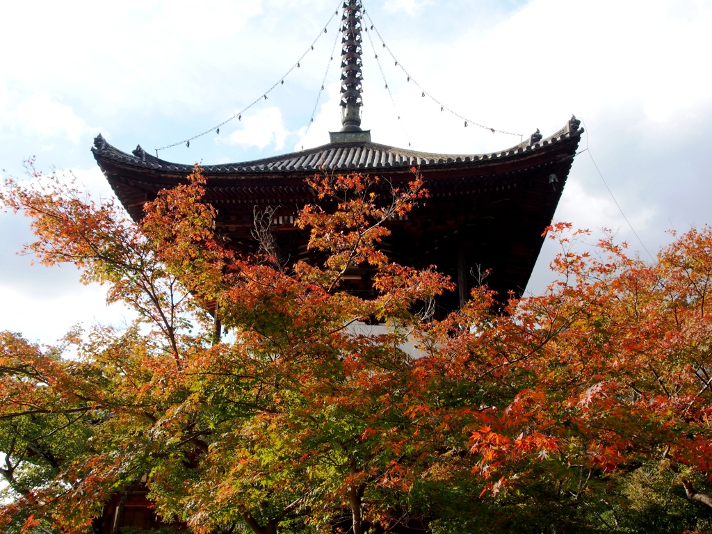 根来寺 大塔