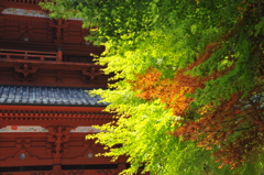 高野山・点描