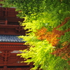 高野山点描・大門