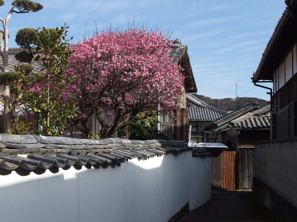 路地の光景