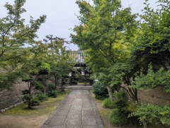 雨に濡れて