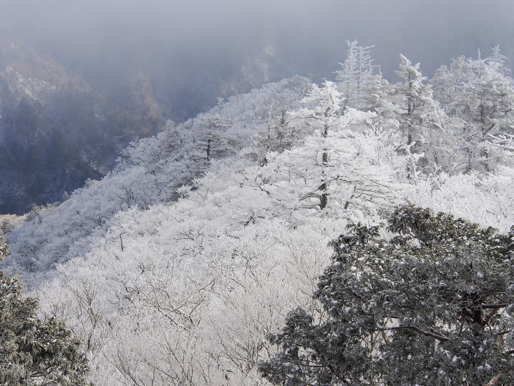 稲村ヶ岳山頂にてⅠ