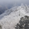稲村ヶ岳山頂にてⅠ