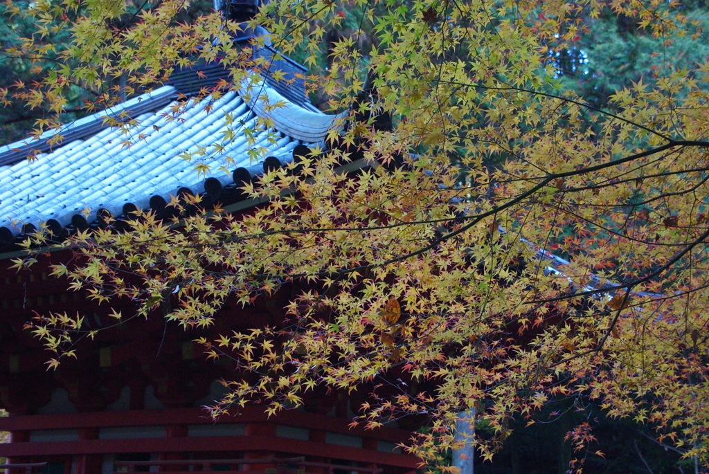 当尾の里・三重塔～岩船寺Ⅱ