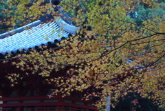 当尾の里・三重塔～岩船寺Ⅱ