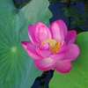 静かに