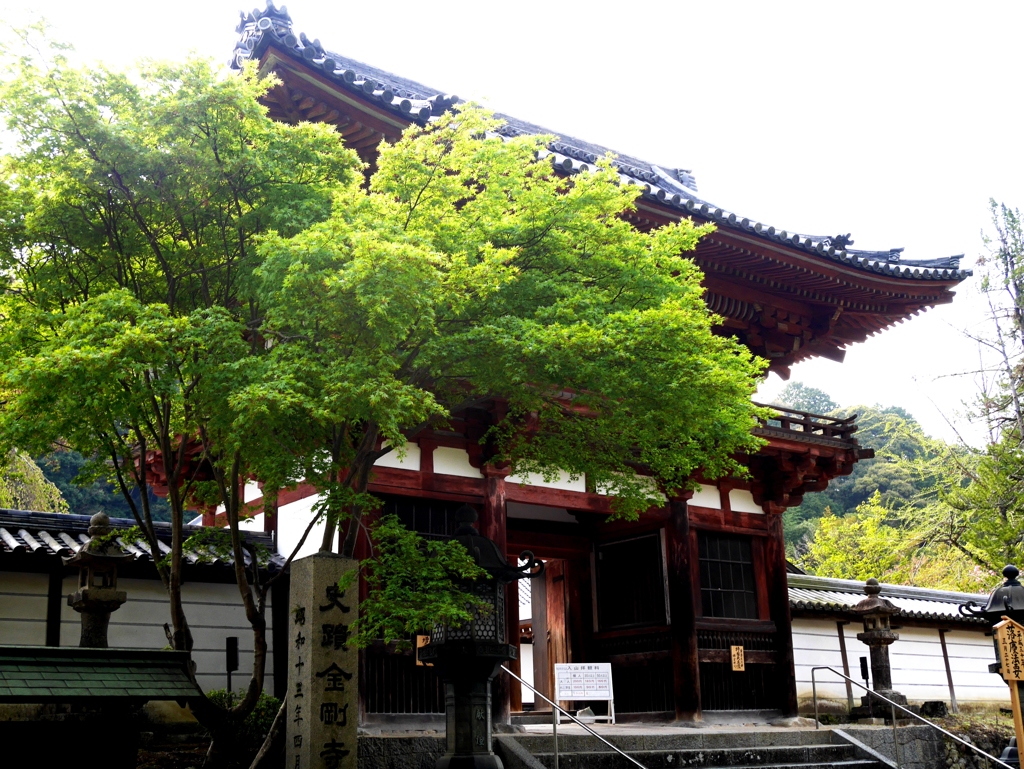 天野山金剛寺