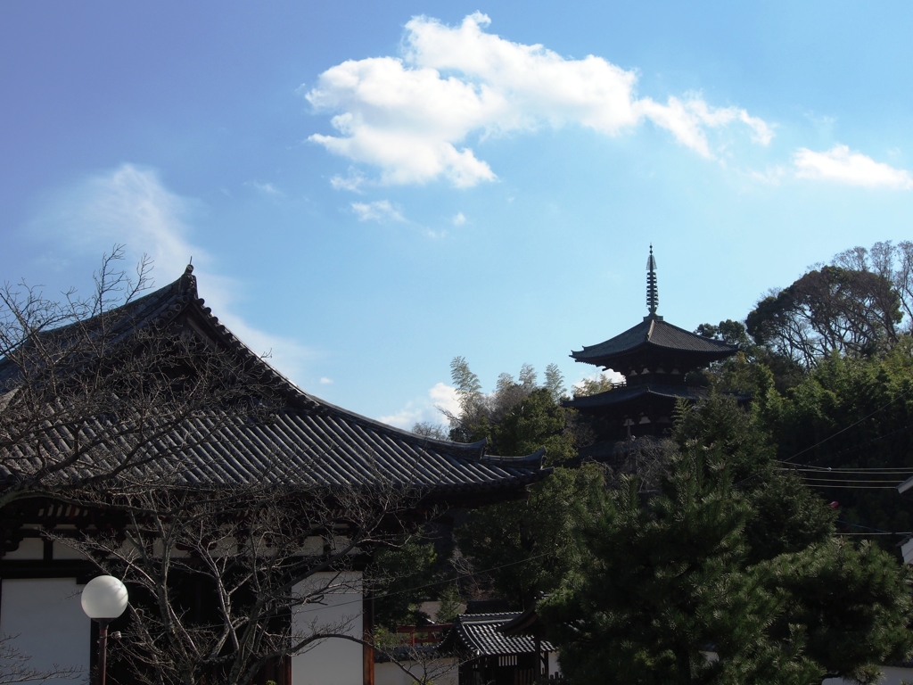 冬の當麻寺