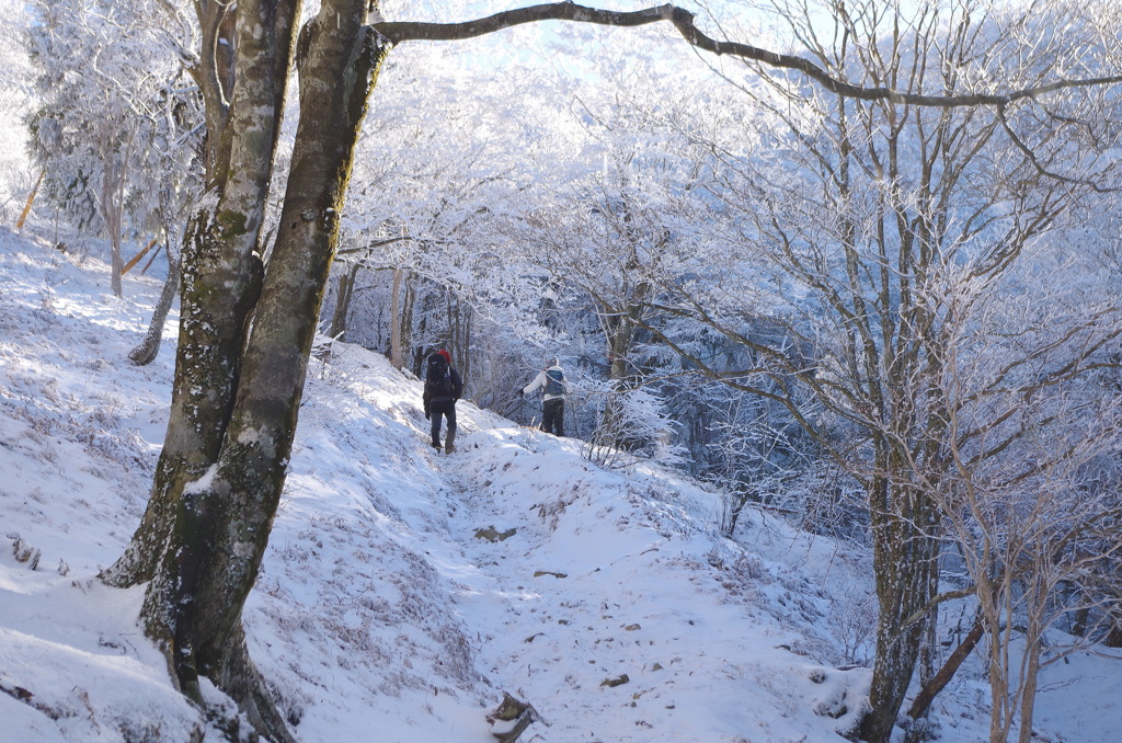 明神平への登山道