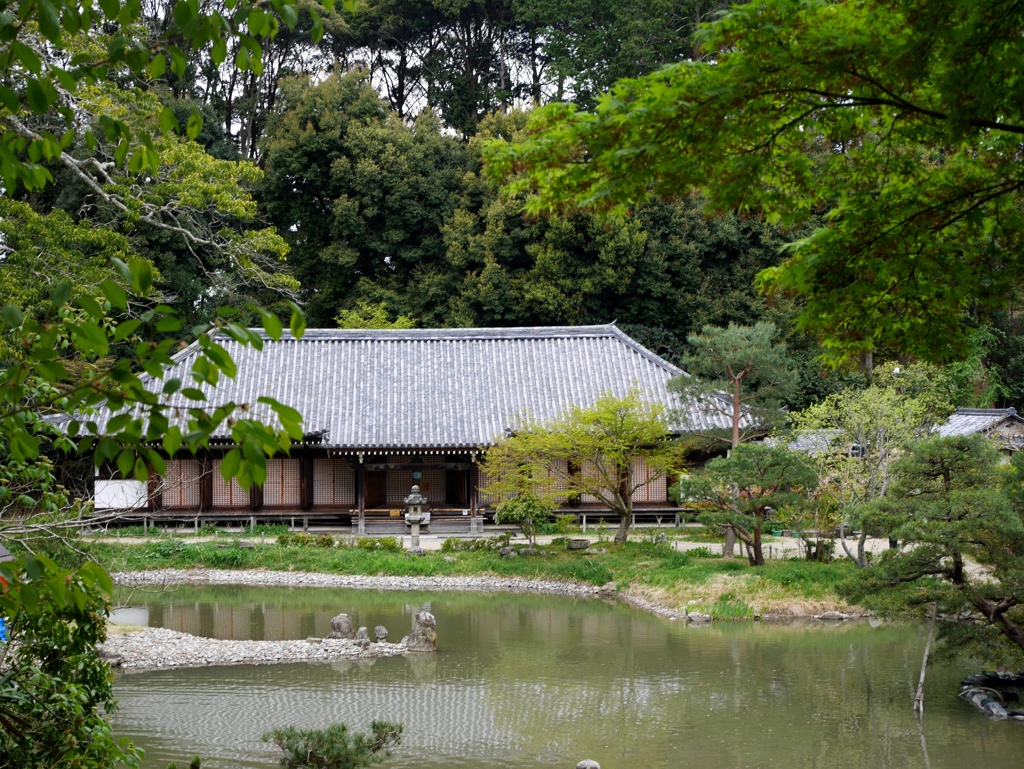 浄瑠璃寺 本堂