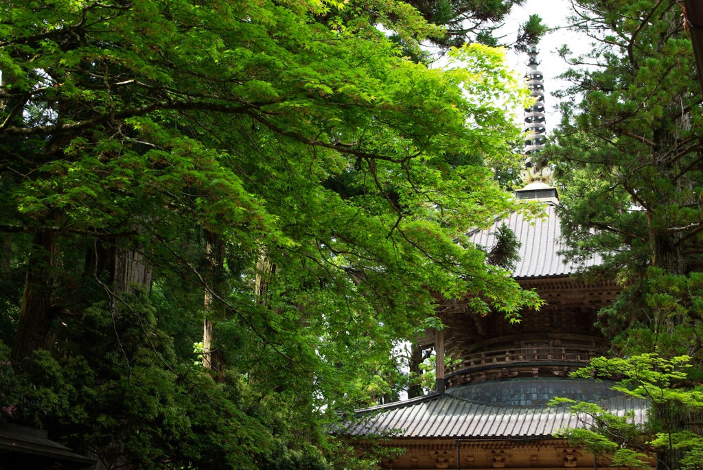 高野山壇上伽藍・西塔