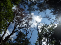 夏の終わりの空を見上げて