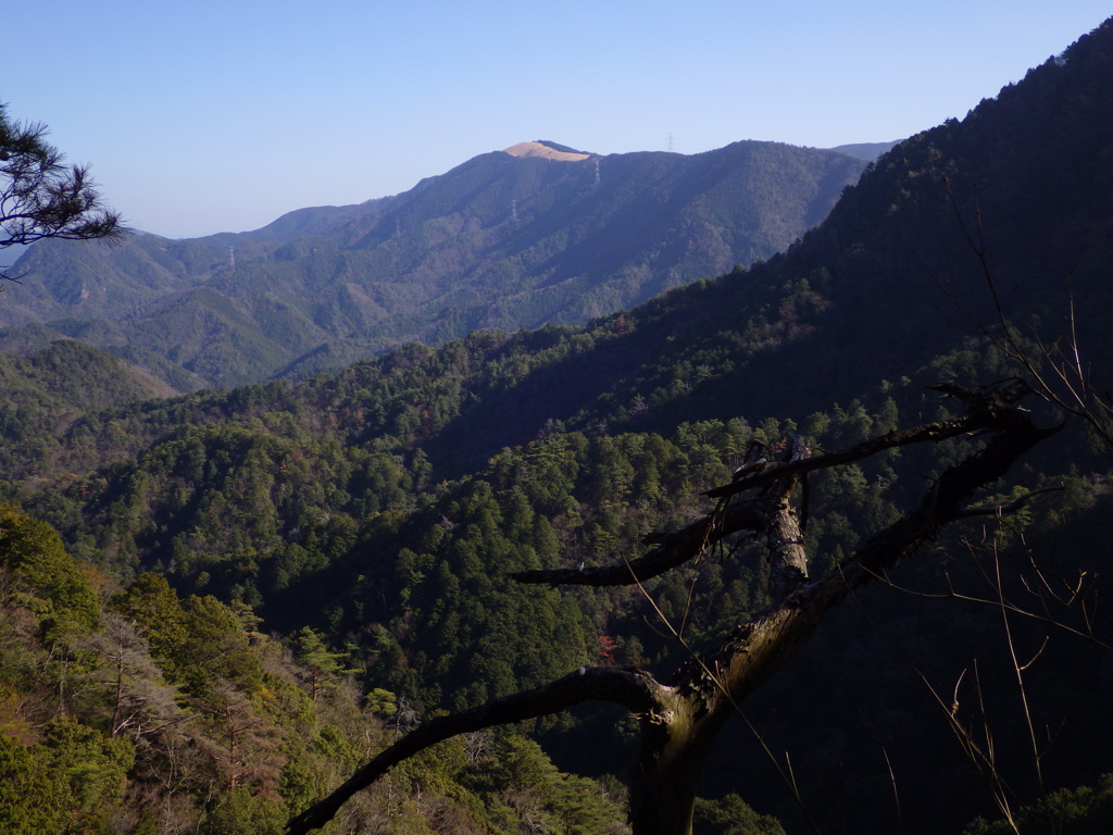 冬の暖かな日に