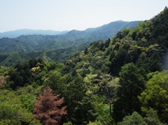 紀泉の山並み