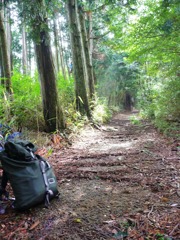 紀泉山脈 登山道