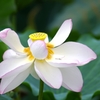 終焉
