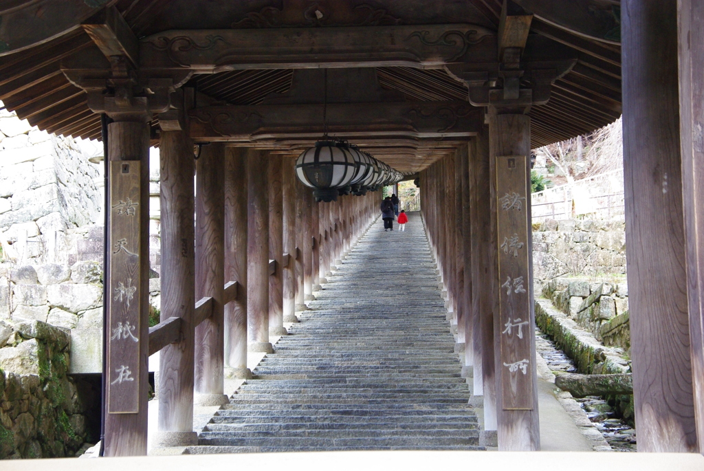 長谷寺冬景色・祈りへ