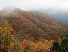 深山秋彩Ⅲ