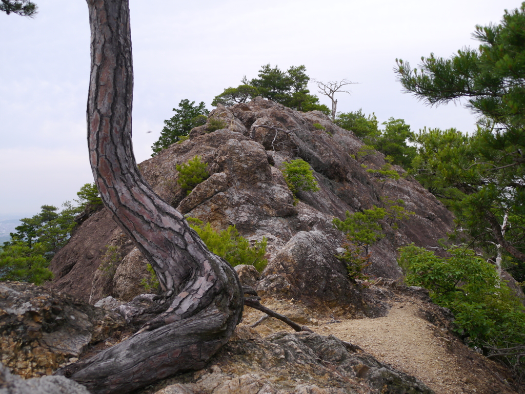 小さな岩稜