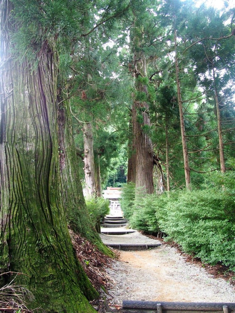 葛城 高天彦神社