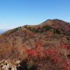 彩づく武奈ヶ岳西南稜