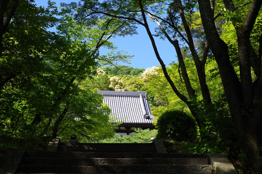 新緑のなかの山寺1