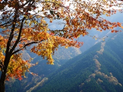 大峰晩秋　紅葉Ⅱ