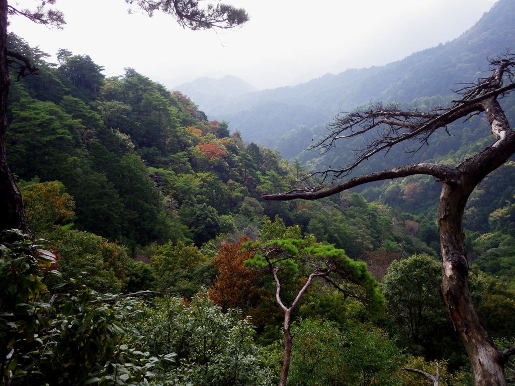 里の山