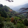 里の山