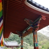 天野山金剛寺金堂