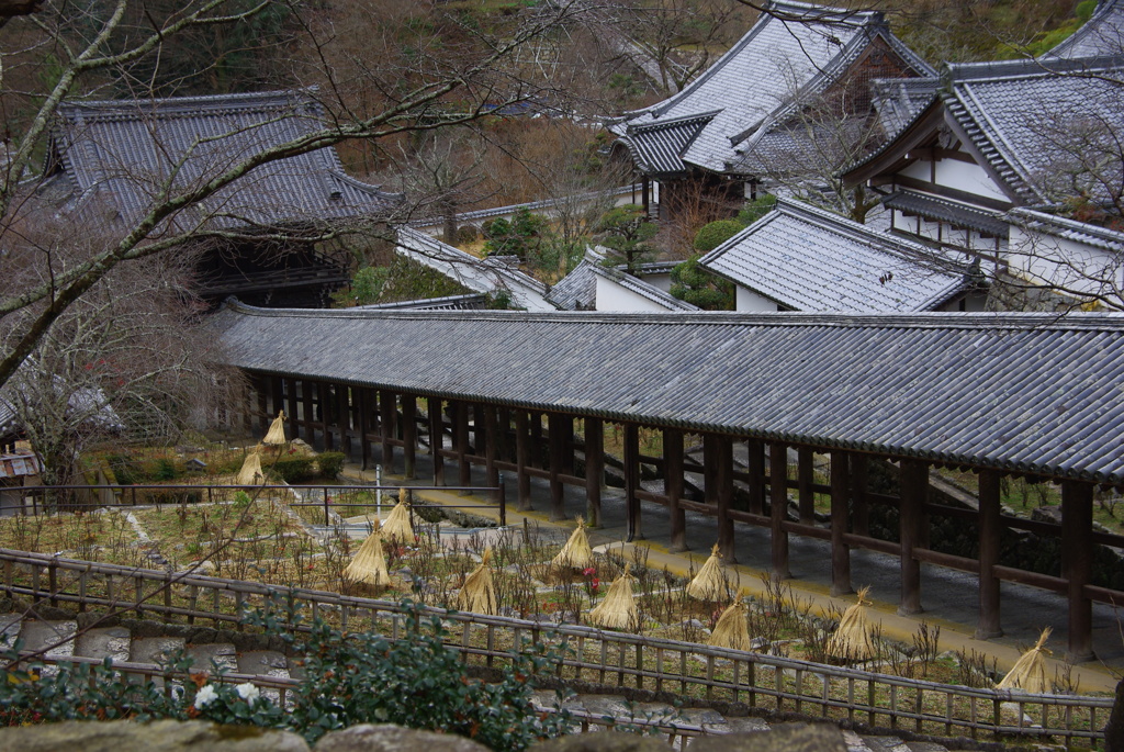 長谷寺冬景色・登楼