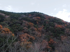 初冬の里山