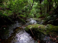 trekking~潤いの場所