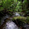 trekking~潤いの場所