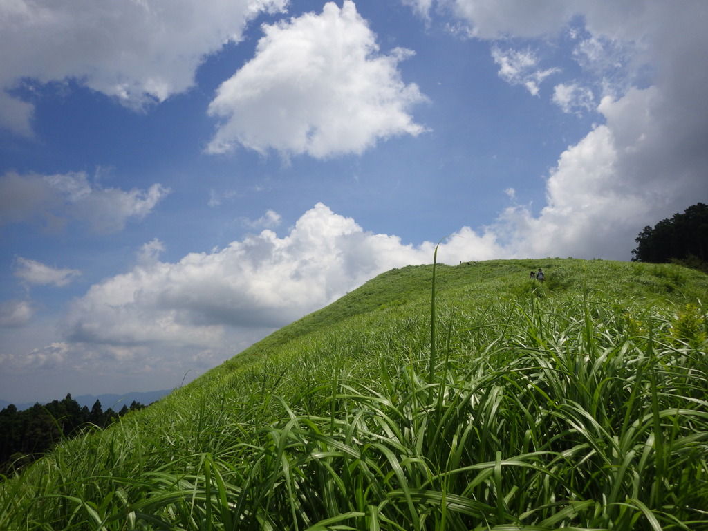夏山・夏空