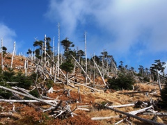 大峰山脈