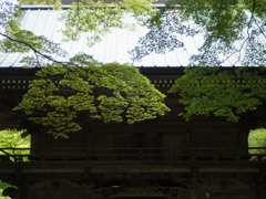 山門
