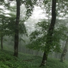 雨の大峰1