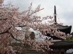 山里の寺3