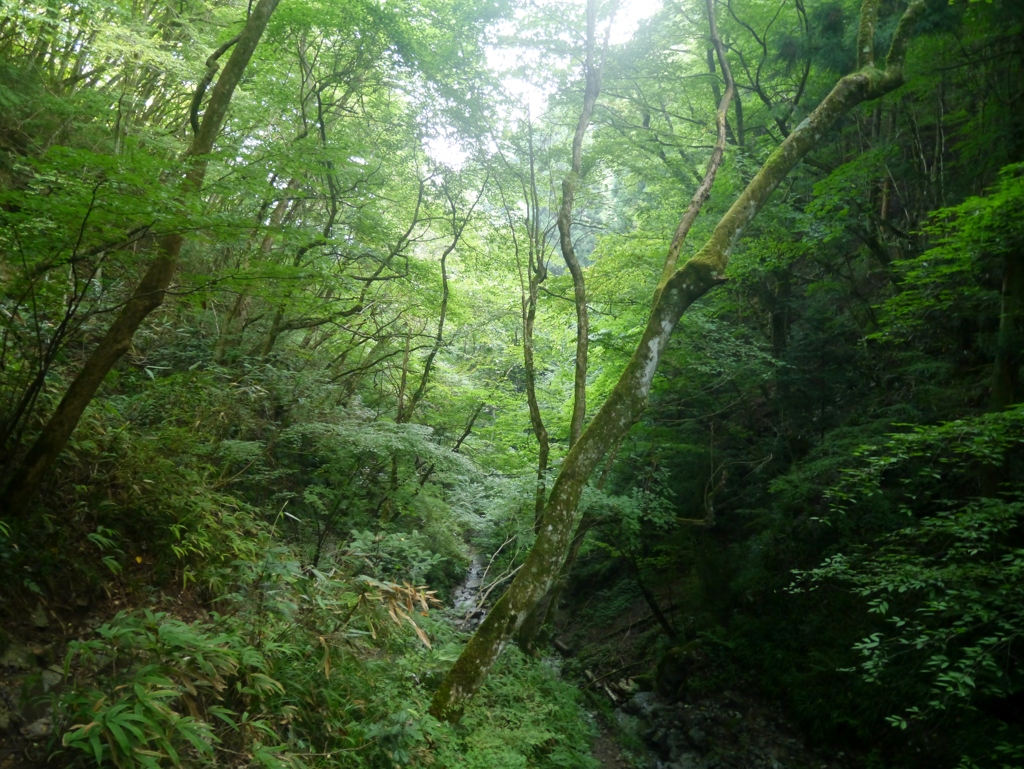 里山あるき2