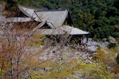 春の長谷寺
