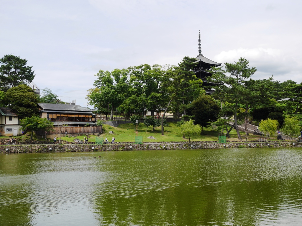 興福寺五重塔